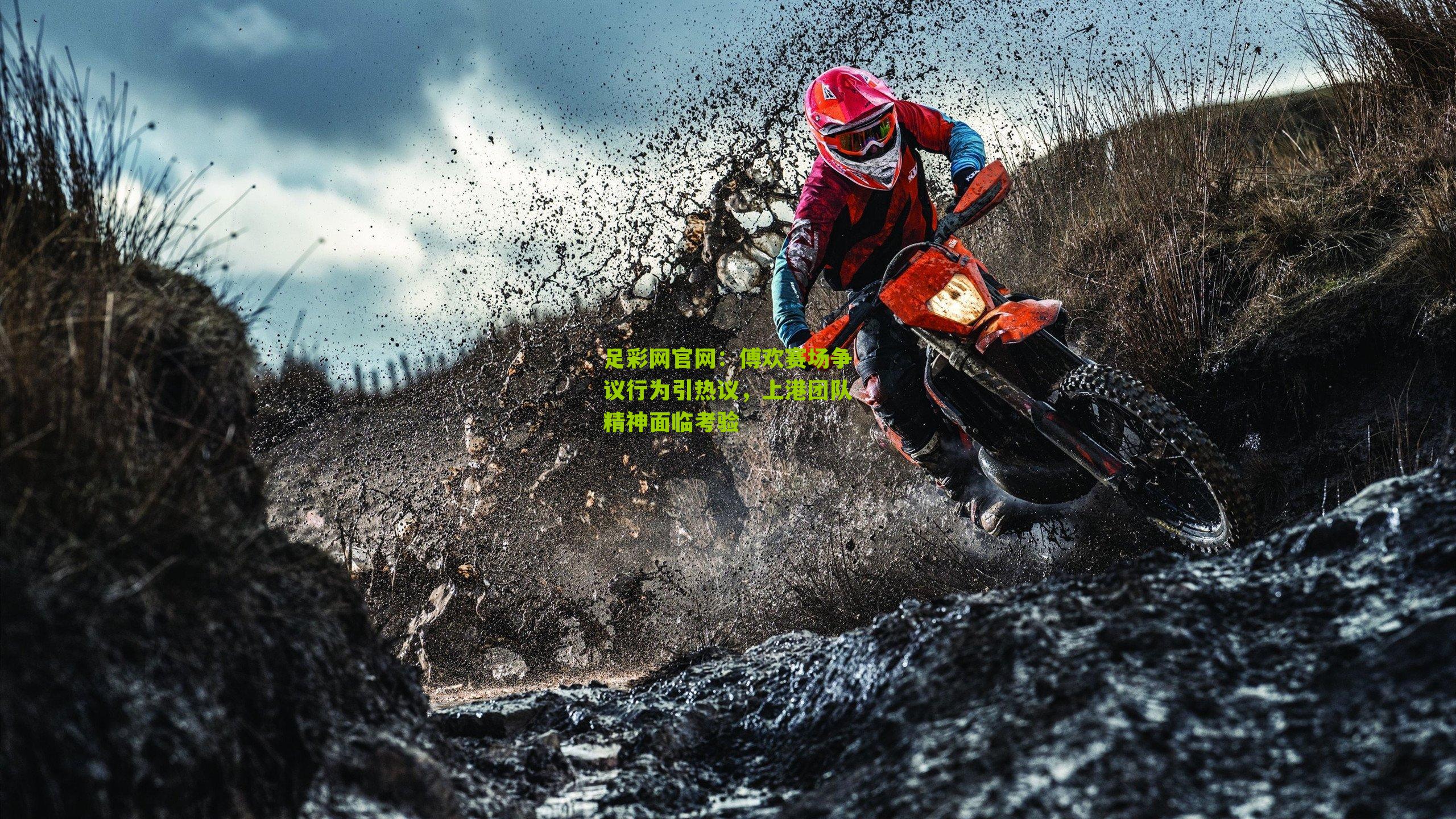 傅欢赛场争议行为引热议，上港团队精神面临考验